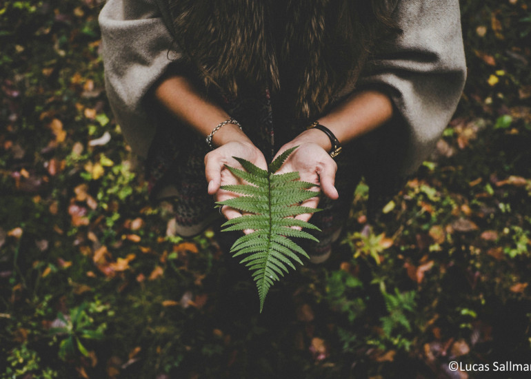 Green Pearls GreenSign Headder 1500 1000